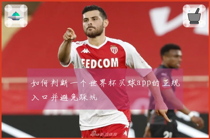 如何判断一个世界杯买球app的正规入口并避免踩坑