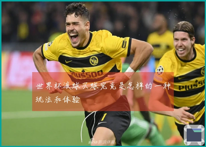 世界杯滚球买球究竟是怎样的一种玩法和体验