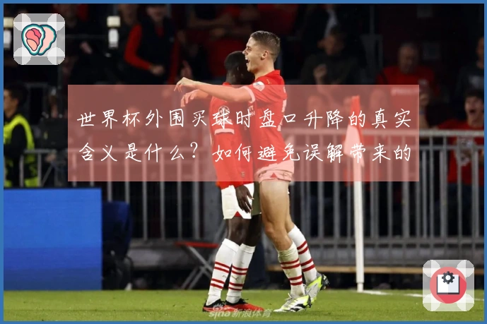 世界杯外围买球时盘口升降的真实含义是什么？如何避免误解带来的风险？