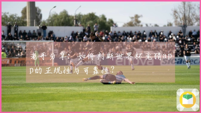 老手分享：如何判断世界杯竞猜app的正规性与可靠性？