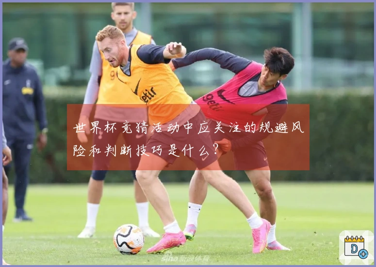 世界杯竞猜活动中应关注的规避风险和判断技巧是什么？