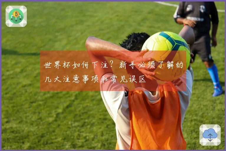 世界杯如何下注？新手必须了解的几大注意事项和常见误区