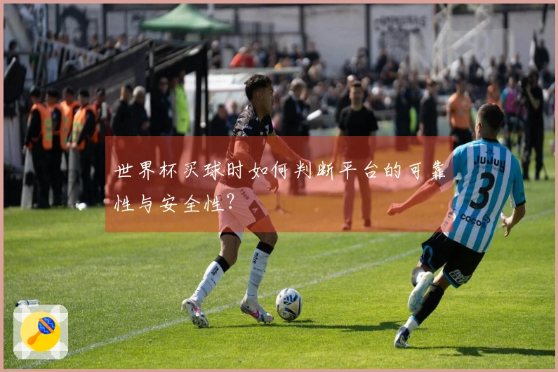 世界杯买球时如何判断平台的可靠性与安全性？