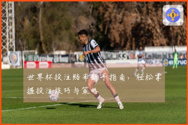 世界杯投注赔率新手指南，轻松掌握投注技巧与策略