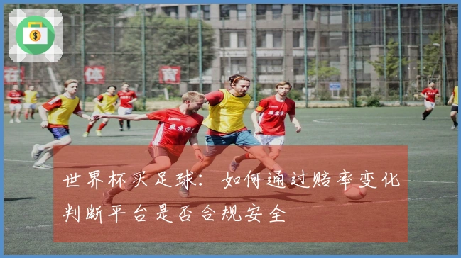 世界杯买足球：如何通过赔率变化判断平台是否合规安全