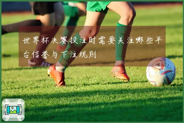 世界杯决赛投注时需要关注哪些平台信誉与下注规则