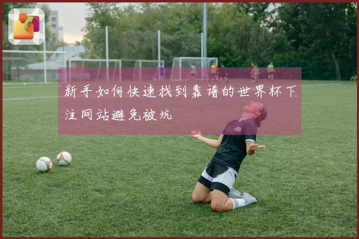 新手如何快速找到靠谱的世界杯下注网站避免被坑