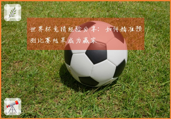 世界杯竞猜经验分享：如何精准预测比赛结果成为赢家
