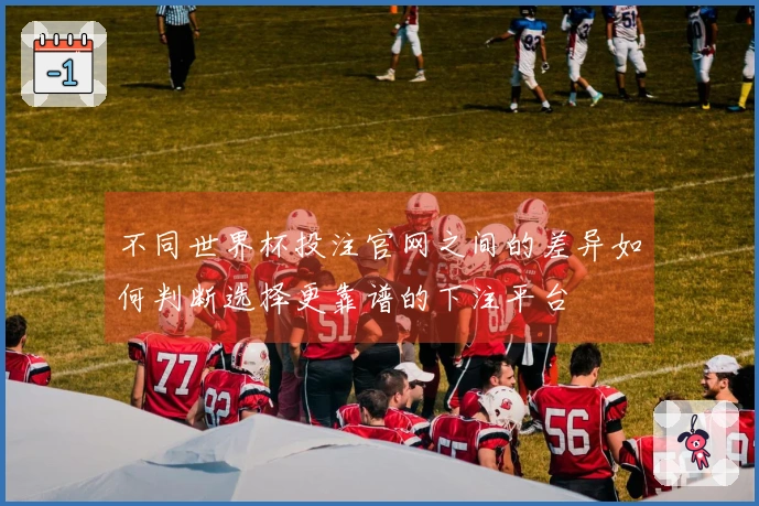 不同世界杯投注官网之间的差异如何判断选择更靠谱的下注平台