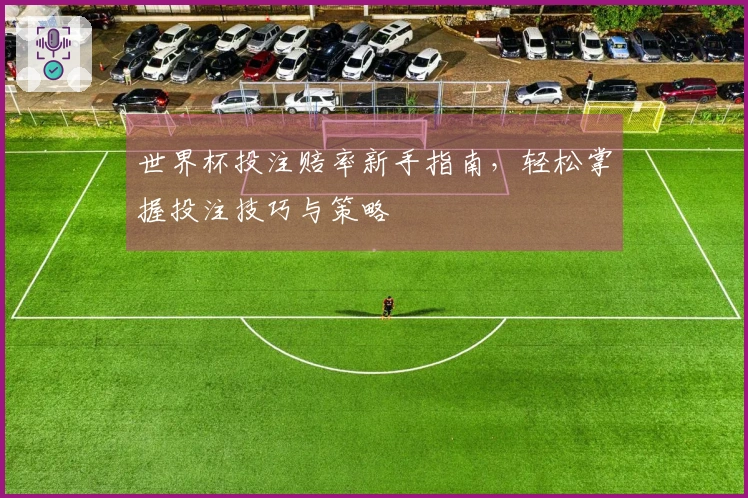 世界杯投注赔率新手指南，轻松掌握投注技巧与策略
