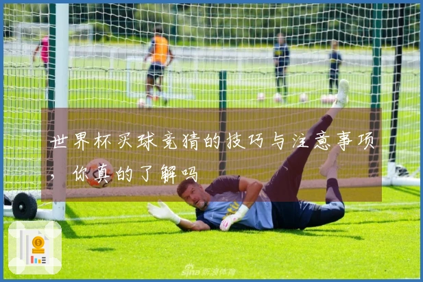 世界杯买球竞猜的技巧与注意事项，你真的了解吗
