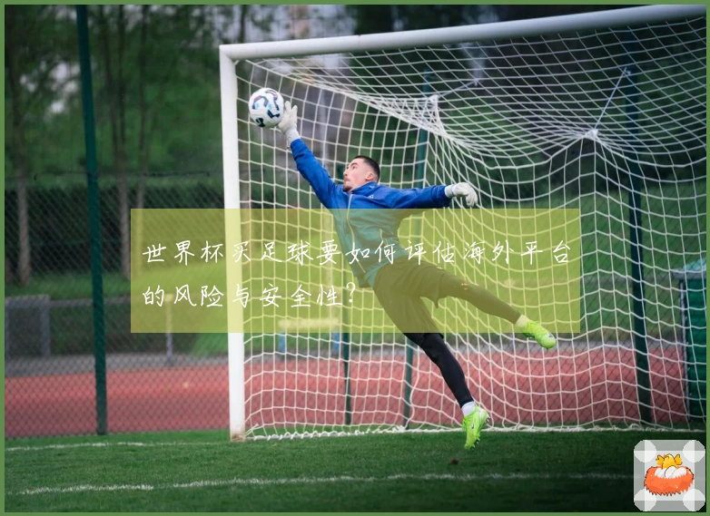世界杯买足球要如何评估海外平台的风险与安全性？