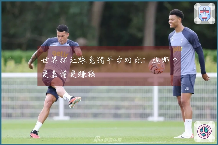 世界杯让球竞猜平台对比：选哪个更靠谱更赚钱
