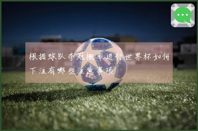 根据球队夺冠概率进行世界杯如何下注有哪些注意事项