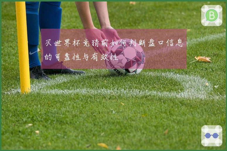 买世界杯竞猜前如何判断盘口信息的可靠性与有效性