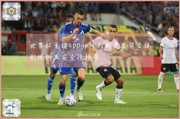 世界杯竞猜app如何判断是否符合体彩规则及安全性指导