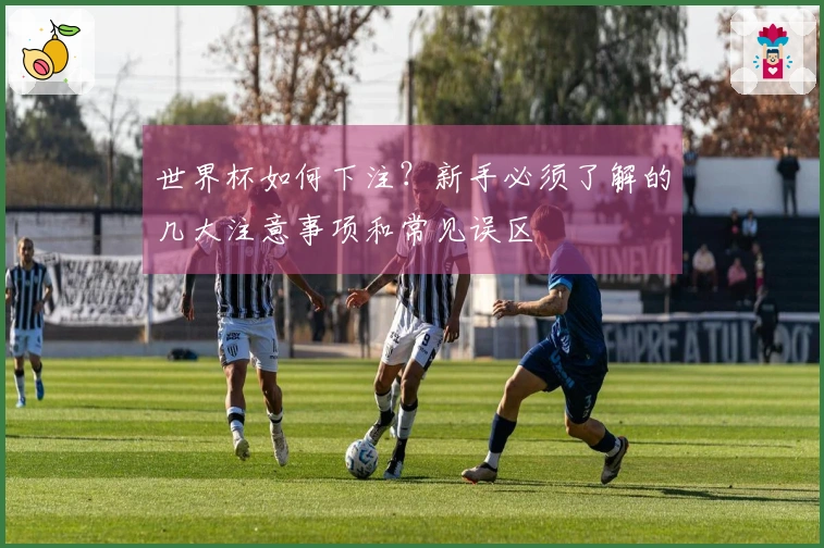 世界杯如何下注？新手必须了解的几大注意事项和常见误区