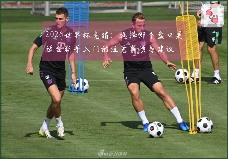 2026世界杯竞猜：选择哪个盘口更适合新手入门的注意事项与建议