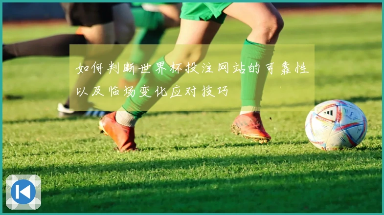 如何判断世界杯投注网站的可靠性以及临场变化应对技巧