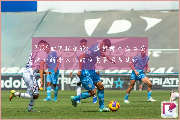 2026世界杯竞猜：选择哪个盘口更适合新手入门的注意事项与建议