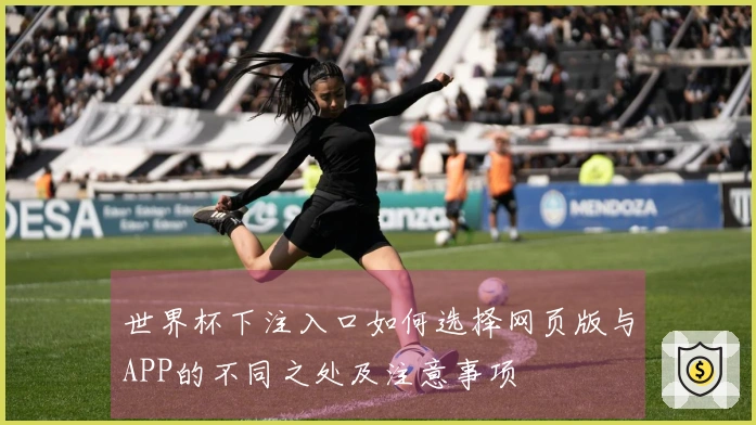 世界杯下注入口如何选择网页版与APP的不同之处及注意事项