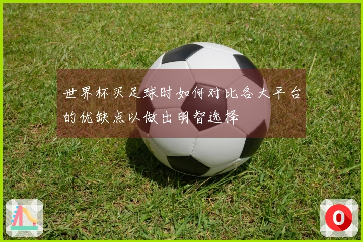 世界杯买足球时如何对比各大平台的优缺点以做出明智选择