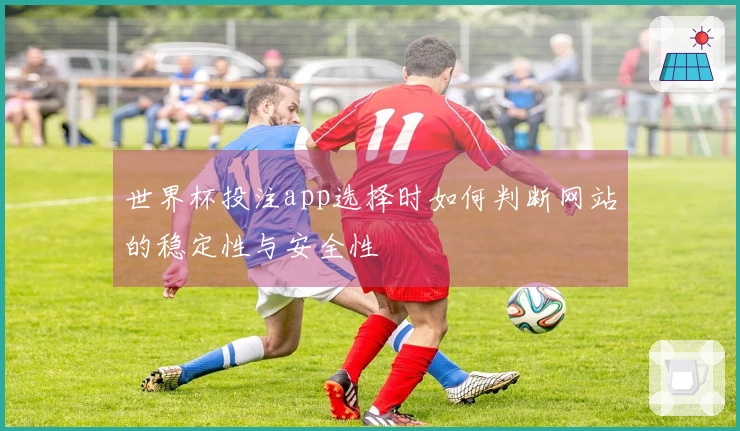 世界杯投注app选择时如何判断网站的稳定性与安全性