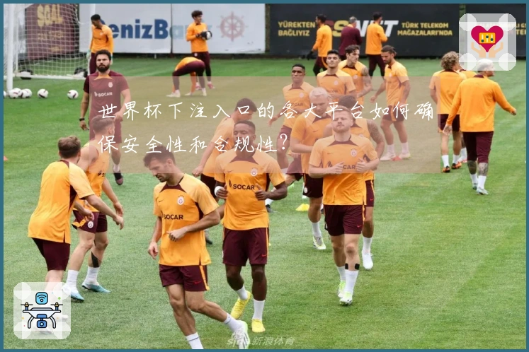 世界杯下注入口的各大平台如何确保安全性和合规性？