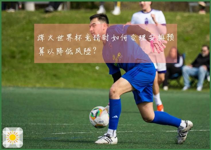 烽火世界杯竞猜时如何合理安排预算以降低风险？