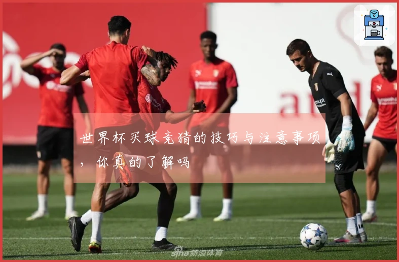 世界杯买球竞猜的技巧与注意事项，你真的了解吗