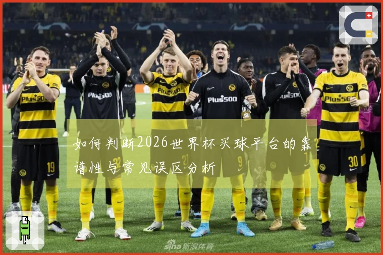 如何判断2026世界杯买球平台的靠谱性与常见误区分析