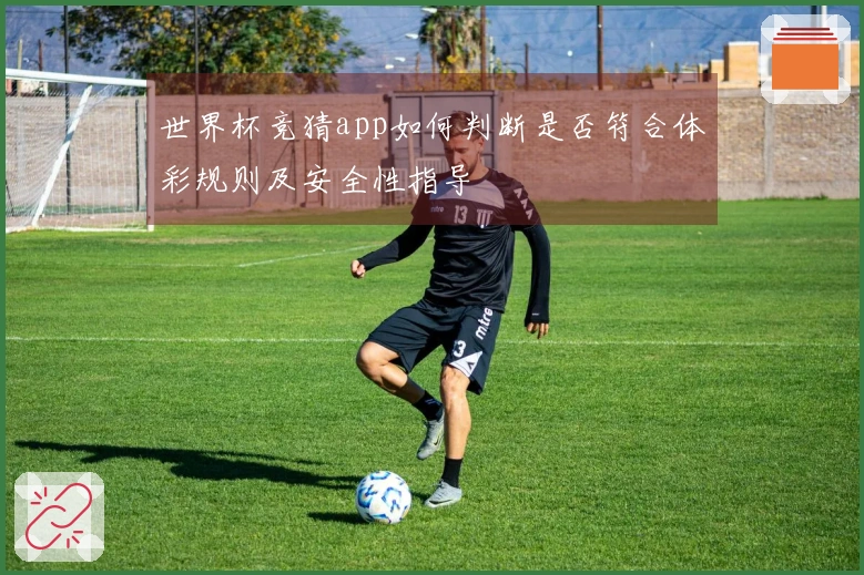 世界杯竞猜app如何判断是否符合体彩规则及安全性指导