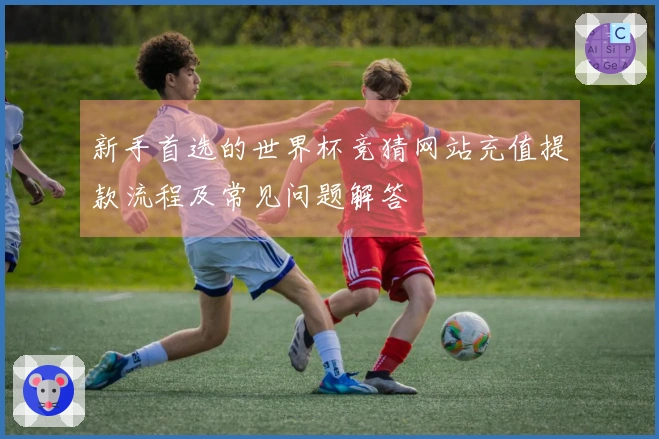 新手首选的世界杯竞猜网站充值提款流程及常见问题解答