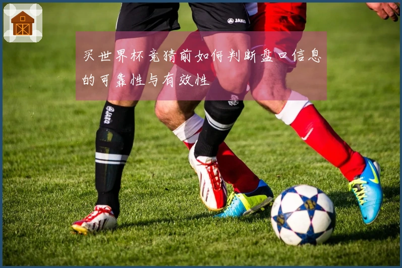买世界杯竞猜前如何判断盘口信息的可靠性与有效性