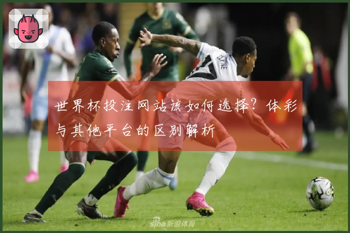 世界杯投注网站该如何选择？体彩与其他平台的区别解析