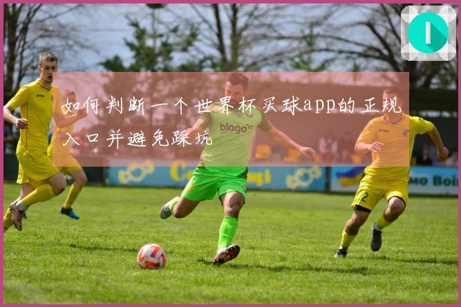 如何判断一个世界杯买球app的正规入口并避免踩坑