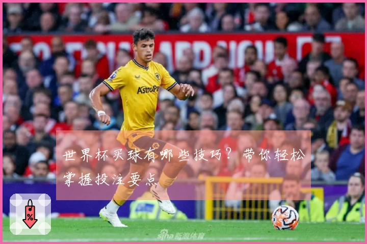 世界杯买球有哪些技巧？带你轻松掌握投注要点