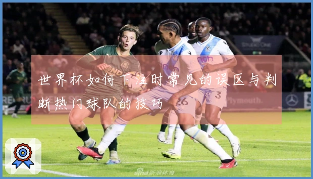 世界杯如何下注时常见的误区与判断热门球队的技巧